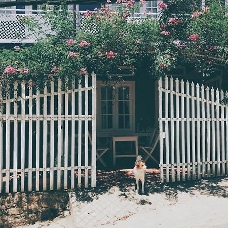 Nha Tim Homestay ดาลัด ภายนอก รูปภาพ