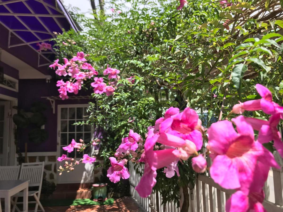 Nha Tim Homestay ดาลัด ภายนอก รูปภาพ