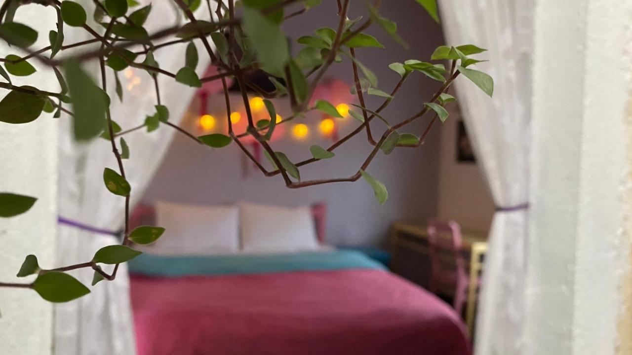 Nha Tim Homestay ดาลัด ภายนอก รูปภาพ